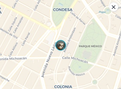 Mapa de paseo en vivo en la app de Huelli